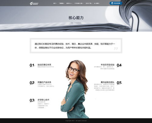 公司网站