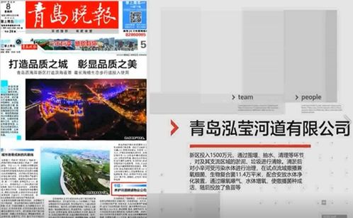 青岛泓莹河道物业 打造水生态处理系统